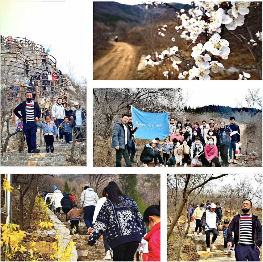 截屏2022-03-21 下午2.35.10.png